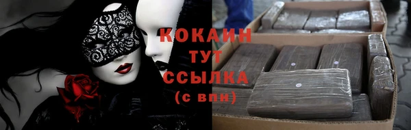 прущий лед Алексин
