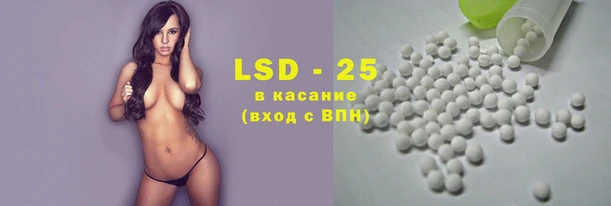 ГАЛЛЮЦИНОГЕННЫЕ ГРИБЫ Алзамай