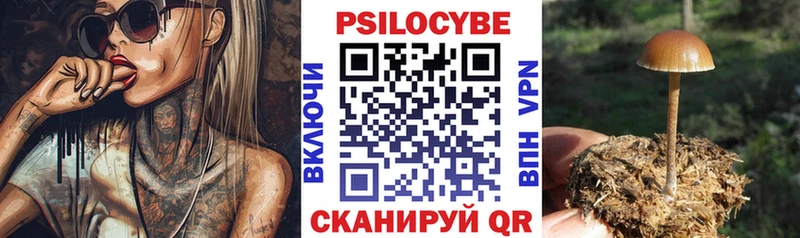 omg ссылка  сайты даркнета клад  Галлюциногенные грибы Psilocybine cubensis  Камбарка 